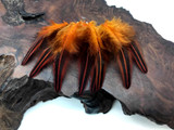 10 Pieces - Orange Dyed Jungle Cock Loose Plumage Feather