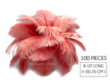 100 Pieces - 8-10" Pink Blush Ostrich Dyed Drab Body Wholesale Feathers (Bulk)