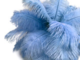 10 Pieces - 8-10" Light Blue Ostrich Dyed Drabs Feathers