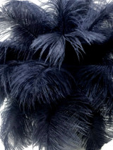 10 Pieces - 8-10" Navy Blue Ostrich Dyed Drabs Feathers