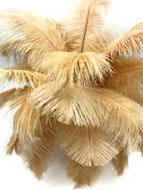 100 Pieces - 8-10" Antique Gold Ostrich Dyed Drab Body Wholesale Feathers (Bulk)