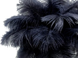 10 Pieces - 14-17" Navy Blue Ostrich Dyed Drab Large Body Feathers