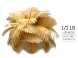 1/2 lb. - 14-17" Antique Gold Ostrich Large Body Drab Wholesale Feathers (Bulk)