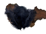 1/2 lb. - 14-17" Navy Blue Ostrich Large Body Drab Wholesale Feathers (Bulk)