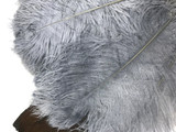 1/2 Lb - 12-16" Silver Gray Ostrich Tail Wholesale Fancy Feathers (Bulk)