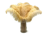 1/2 Lb. - 18-24" Old Gold Large Ostrich Wing Plume Wholesale Feathers (Bulk)