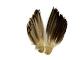 1 Piece - Natural Brown Duck Pointer Wing Fan Trim Pad
