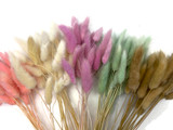 30 Pieces - 12-15" Baby Pink Bunny Tail Preserved Dried Botanical Grass Bouquet