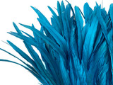 2.5 Inch Strip - 16-18" Turquoise Blue Strung Bleach & Dyed Rooster Coque Tail Feathers