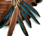 4 Pieces - 6-8" Teal Blue And Pale Red Hybrid Macaw Wing Feather -Rare-