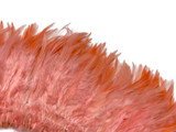 1 Yard – 4-6” Dyed Pink Blush Strung Chinese Rooster Saddle Wholesale Feathers (Bulk) 