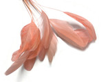 1 Dozen - Pink Blush Stripped Rooster Coque Tail Feathers