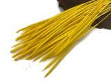 60 Pieces - 18-22" Dyed Yellow Thousand Grass Reed Preserved Dried Botanical 