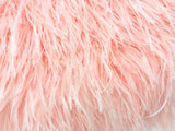 6 Inch Strip - Pink Blush Ostrich Fringe Trim Feather