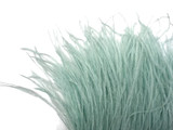 10 Yards - Sage Green Ostrich Fringe Trim Wholesale Feather (Bulk)