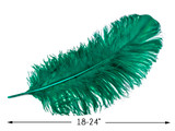 1/2 Lb. - 18-24" Teal Green Large Ostrich Wing Plume Wholesale Feathers (Bulk)