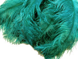 10 Pieces - 18-24" Teal Green Large Prime Grade Ostrich Wing Plume Centerpiece Feathers