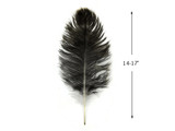 1/2 lb. - 14-17" Natural Chinchilla Brown Ostrich Large Body Drab Wholesale Feathers (Bulk)