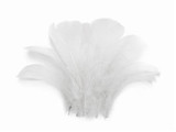 1/4 Lb - 2-3" White Goose Coquille Loose Wholesale Feathers (Bulk)