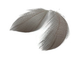 1 Pack - Natural Mallard Duck Flank Plumage Feathers 0.10 Oz.