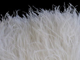 6 Inch Strip - Snow White Ostrich Fringe Trim Feathers