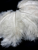 10 Pieces - 8-10" Bleached Off White Ostrich Dyed Drabs Feathers