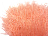6 Inch Strip - Peach Pink Ostrich Fringe Trim Feather