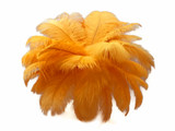 10 Pieces - 8-10" Golden Yellow Ostrich Dyed Drabs Feathers