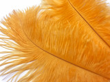 10 Pieces - 8-10" Golden Yellow Ostrich Dyed Drabs Feathers