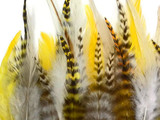2 Dozen - Short Gold Mix Grizzly Rooster Hair Extension Feathers