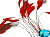 1 Dozen - Red Stripped Rooster Coque Tail Feathers