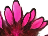 1 Dozen - Hot Pink Whiting Farms Laced Hen Saddle Feathers