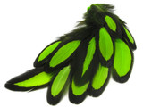 1 Dozen - Lime Green Whiting Farms Laced Hen Saddle Feathers