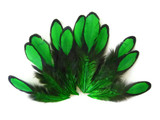 1 Dozen - Kelly Green Whiting Farms Laced Hen Saddle Feathers