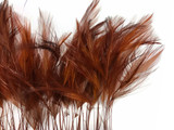 1 Dozen - Brown Stripped Rooster Neck Hackle Eyelash Feather