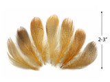 1 Pack - Gold Mallard Duck Flank Plumage Feathers 0.10 Oz.