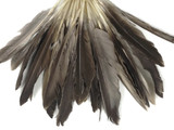 1 Pack - Natural Brown Duck Primary Wing Pointer Feathers 0.50 Oz.