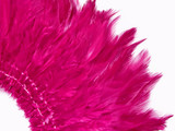 4 Inch Strip – 4-6” Dyed Hot Pink Strung Chinese Rooster Saddle Feathers 