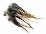 12 Pieces - Golden Badger Short Rooster Hackle Hair Feathers