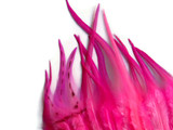 1 Dozen - Short Solid Hot Pink Whiting Farm Rooster Saddle Hair Extension Feathers