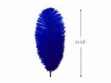 10 Pieces - 11-13" Royal Blue Bleached & Dyed Ostrich Drabs Body Feathers