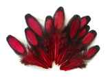 1 Dozen - Claret Whiting Farms Laced Hen Saddle Feathers