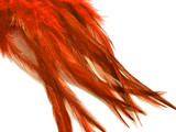 1 Dozen - Medium Solid Orange Rooster Saddle Whiting Hair Extension Feathers