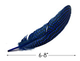 10 Pieces - Dyed Royal Blue Polka Dot Guinea Fowl Wing Quill Feathers