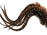 6 Pieces - XL Brown Grizzly Thick Long Grizzly Whiting Farm Rooster Saddle Hair Extension Feathers