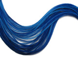 10 Pieces - Solid Royal Blue Thin Long Whiting Farm Rooster Saddle Hair Extension Feathers