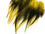 1 Dozen - Short Yellow Badger Whiting Farm Rooster Saddle Hair Extension Feathers