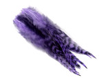 1 Dozen - Medium Lavender Grizzly Rooster Saddle Whiting Hair Extension Feathers