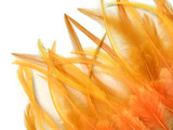 1 Dozen - Short Solid Tangerine Whiting Farm Rooster Saddle Hair Extension Feathers