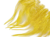 1 Dozen - Short Solid Blonde Whiting Farm Rooster Saddle Hair Extension Feathers